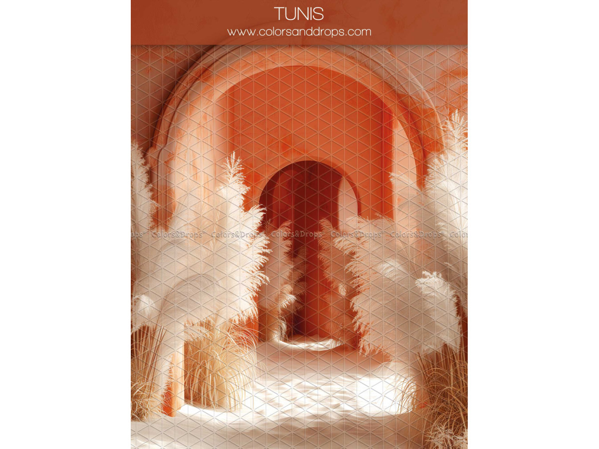 Maternity & portrait photo backdrop Tunis – terracotta arches in a row with pampas grass | Colors&Drops