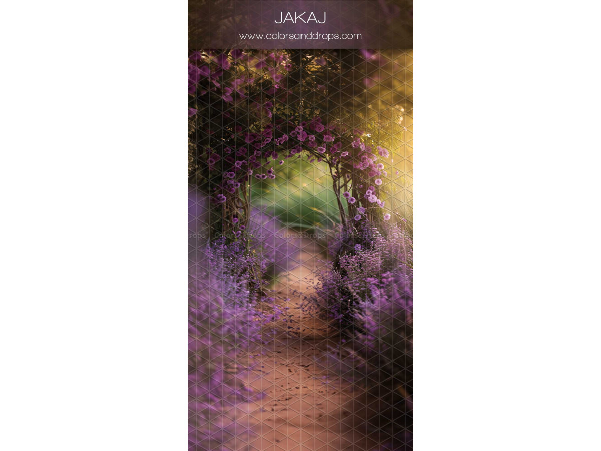 Fond photo infini avec sol Jakaj – allée sous une arche de glycines violettes | Colors&Drops