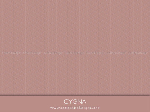 Sol photo Cygna – fond uni vieux rose | Colors&Drops