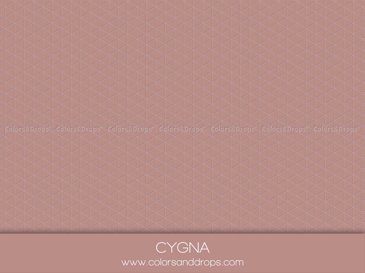 Sol photo Cygna – fond uni vieux rose | Colors&Drops