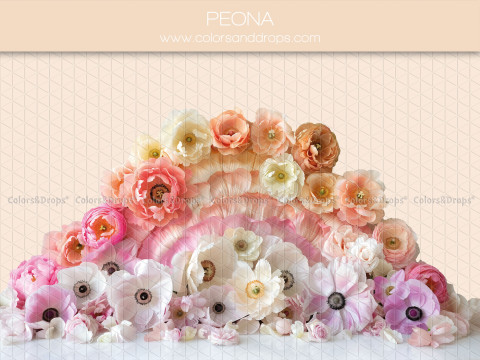 Fond photo bébé et smash cake Peona – arche de fleurs en papier pêche, roses et blanches | Colors&Drops