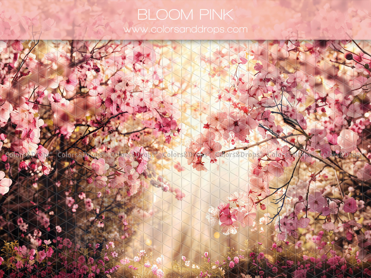 Photo backdrop Bloom Pink – forest of pink cherry blossoms in the light | Colors&Drops