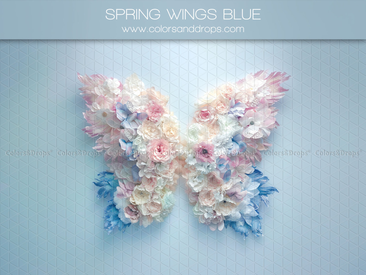 Fond photo grossesse et portrait Spring Wings Blue – ailes de fleurs bleues et roses sur fond bleu | Colors&Drops