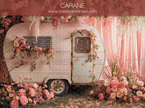 Fond photo bébé et smash cake Carane – caravane vintage blanche fleurie de roses roses | Colors&Drops