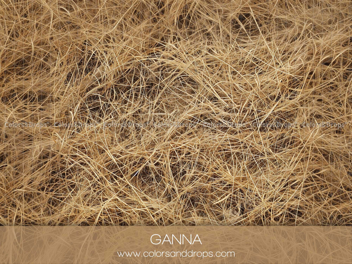 Photo floor Ganna – dry golden hay texture | Colors&Drops