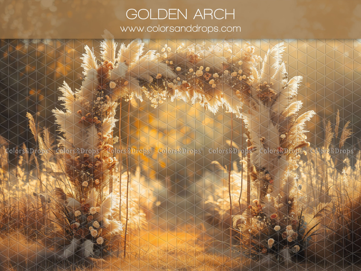 Fond photo fête des mères et des pères Golden Arch – arche de pampa dorée dans les herbes au soleil couchant | Colors&Drops
