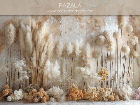 Mother's & Father's Day photo backdrop Pazala – white wall with pampas grass and dried flowers | Colors&Drops
