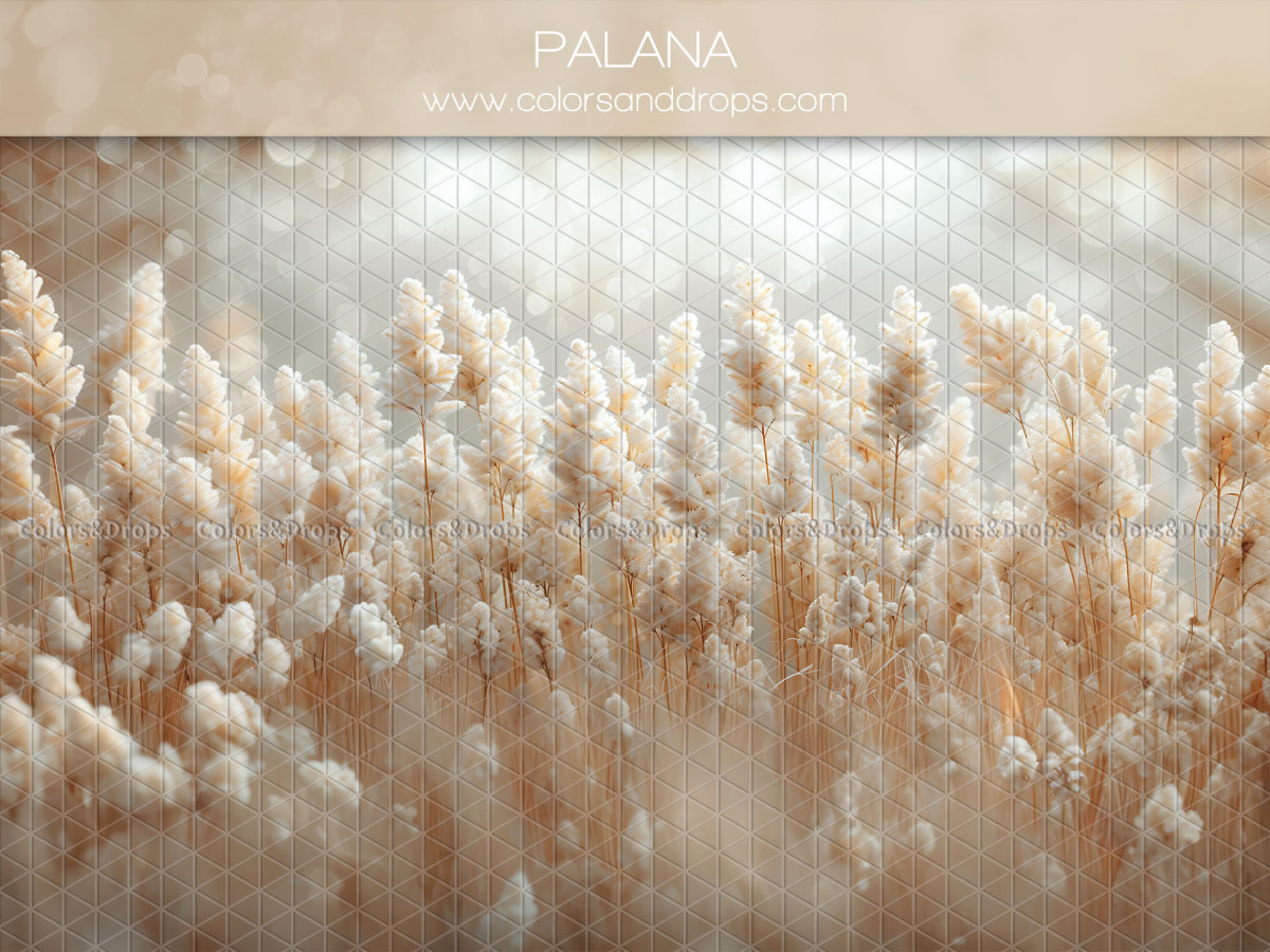 Mother's & Father's Day photo backdrop Palana – blurred field of pampas grass | Colors&Drops