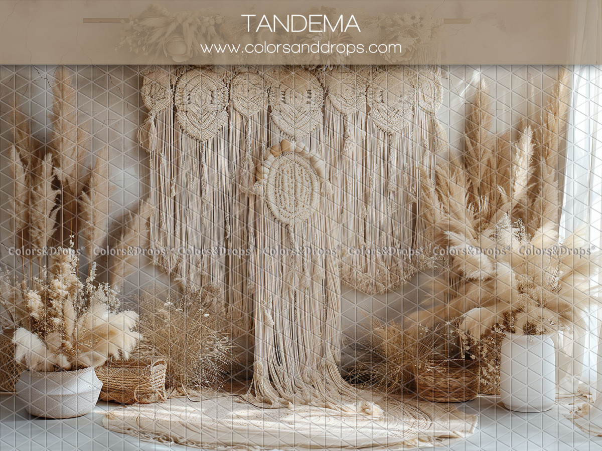 Fond photo fête des mères et des pères Tandema – grand macramé mural avec attrape-rêves et pampa | Colors&Drops