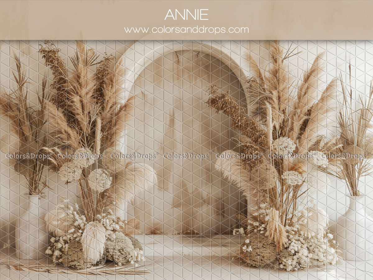 Maternity & portrait photo backdrop Annie – wall arch with pampas vases and dried flowers | Colors&Drops