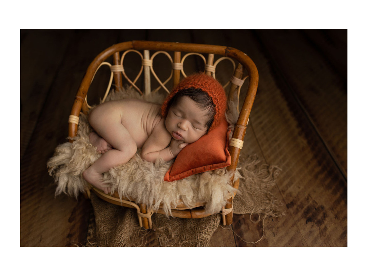 Sol photo Harvard Large – planches de bois brun clair larges | Colors&Drops