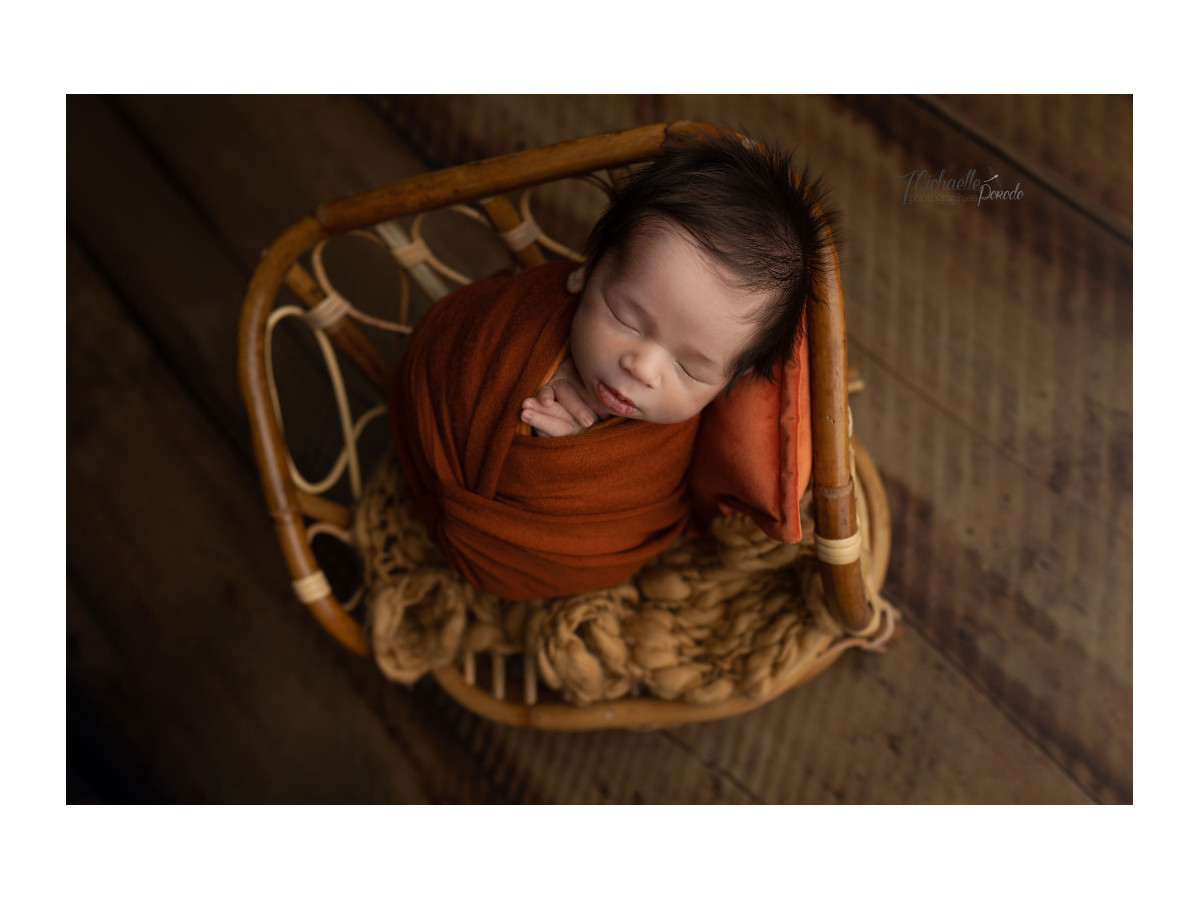 Sol photo Harvard Large – planches de bois brun clair larges | Colors&Drops