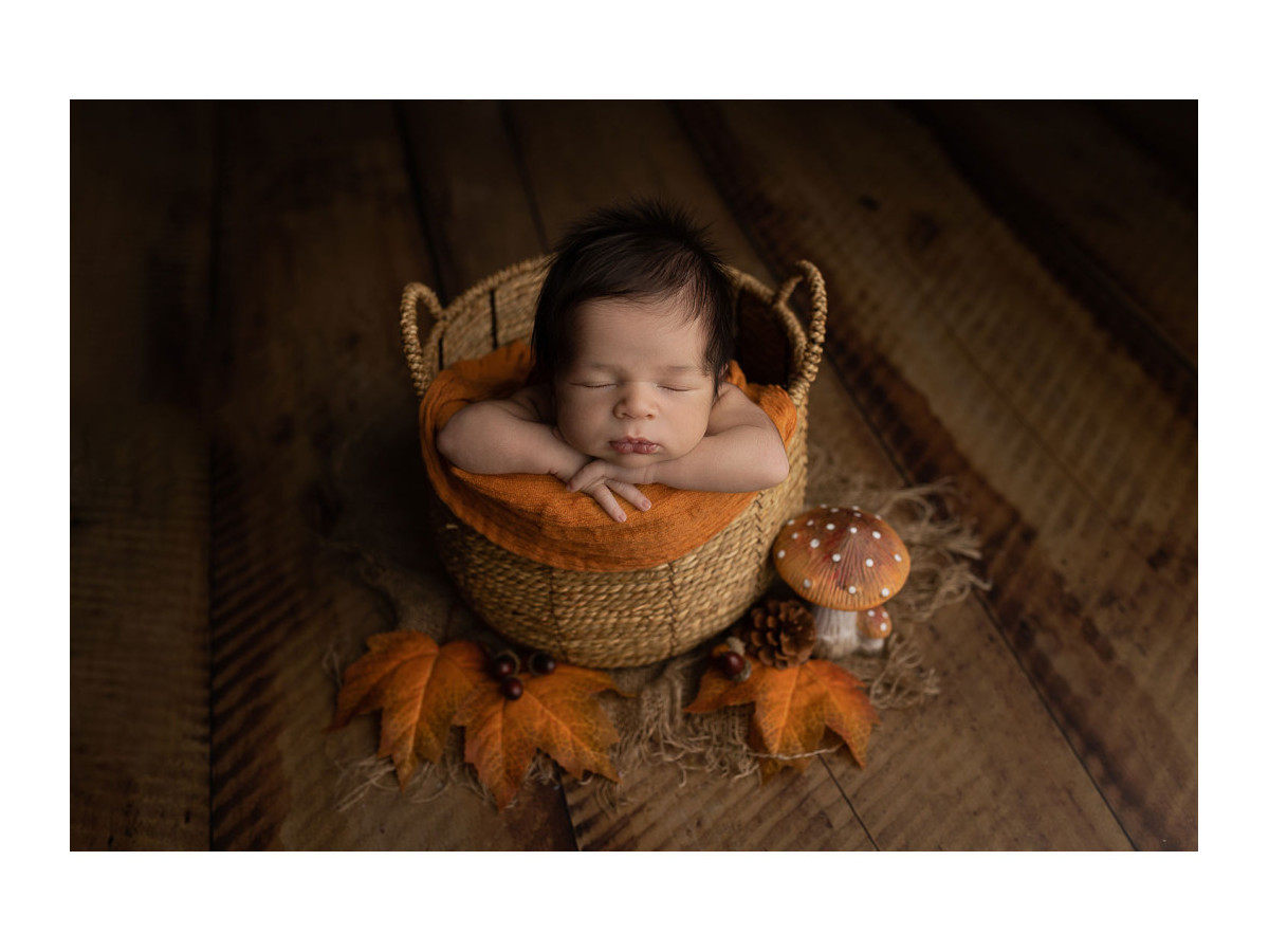 Sol photo Harvard Large – planches de bois brun clair larges | Colors&Drops