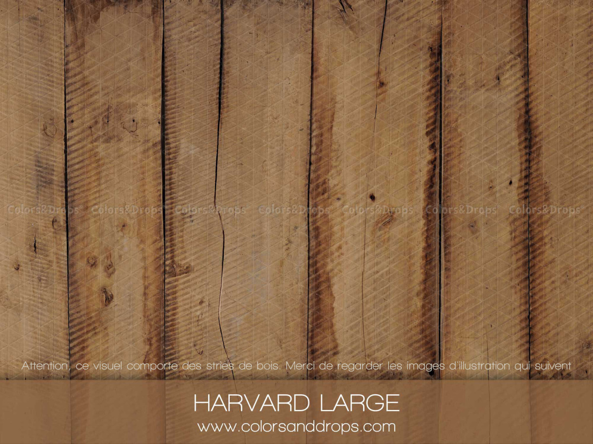 Sol photo Harvard Large – planches de bois brun clair larges | Colors&Drops