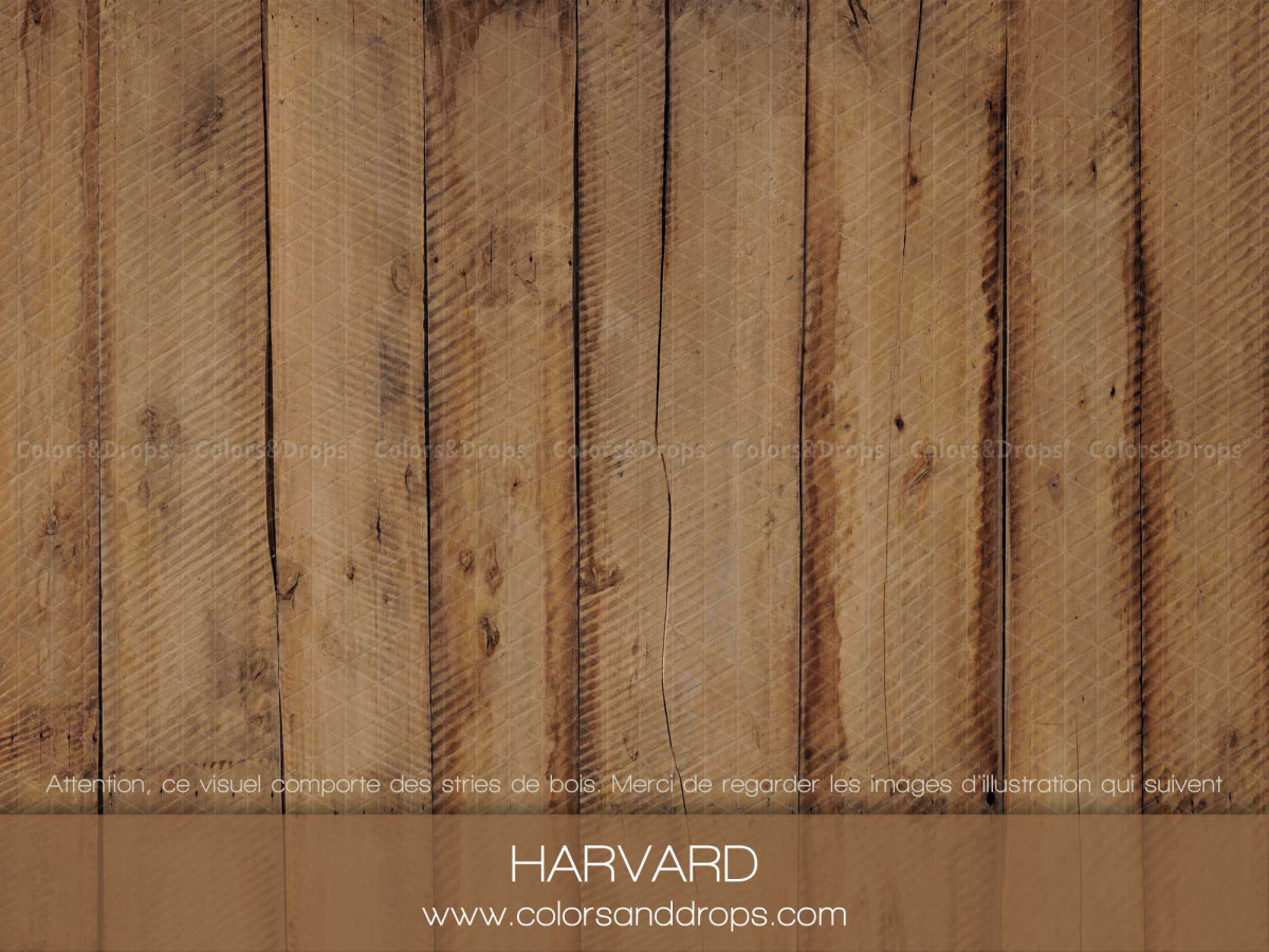 Photo floor Harvard – light brown wooden planks | Colors&Drops