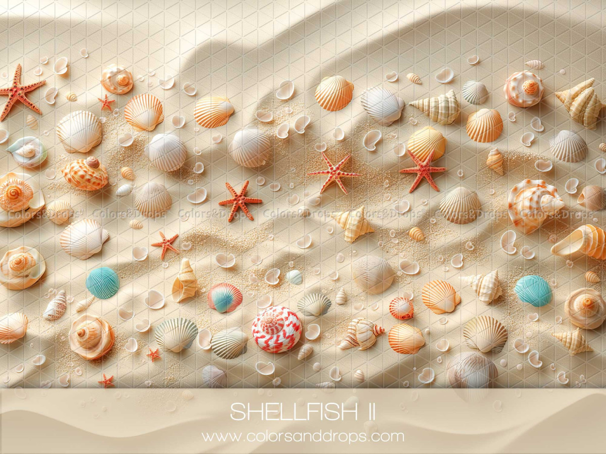Summer photo backdrop & floor Shellfish II – sand with seashells and starfish | Colors&Drops