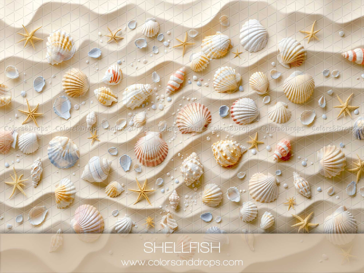 Fond et sol photo d'été Shellfish – sable ondulé parsemé de coquillages | Colors&Drops