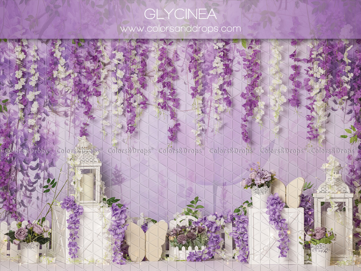 Fond photo bébé et smash cake Glycinea – glycine violette avec lanternes et socles blancs | Colors&Drops
