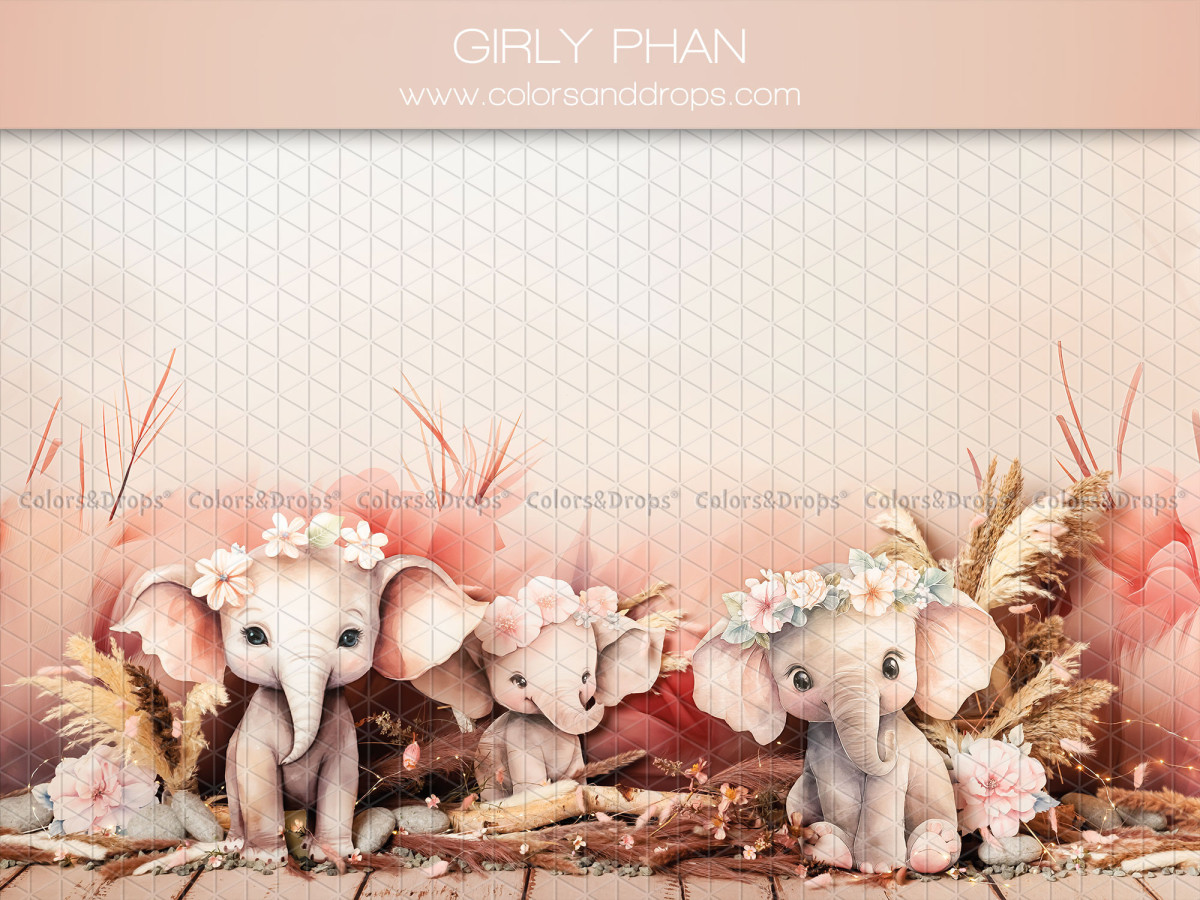 Baby & cake smash photo backdrop Girly Phan – pink baby elephants with flowers and pampas | Colors&Drops
