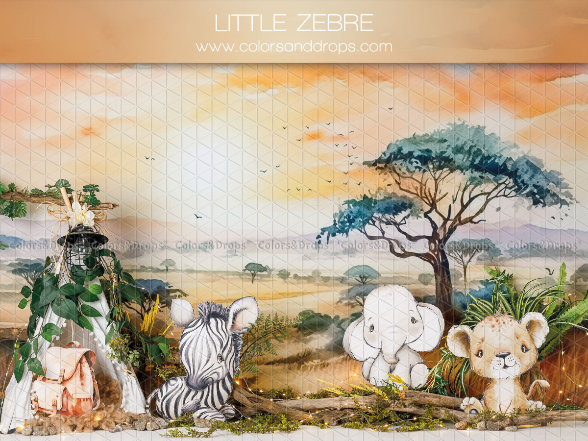 Fond photo bébé et smash cake Little Zebre – bébés zèbre, éléphant et lion dans la savane | Colors&Drops