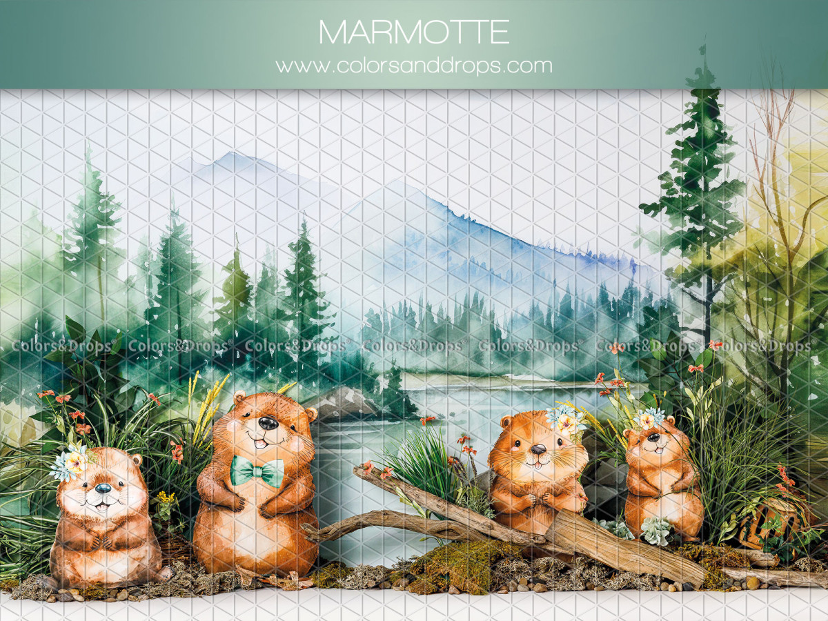 Fond photo bébé et smash cake Marmotte – marmottes au bord d'un lac de montagne | Colors&Drops