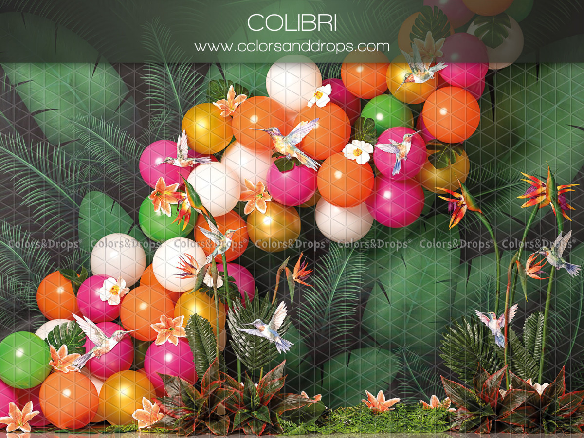 Fond photo bébé et smash cake Colibri – ballons multicolores dans la jungle avec colibris | Colors&Drops