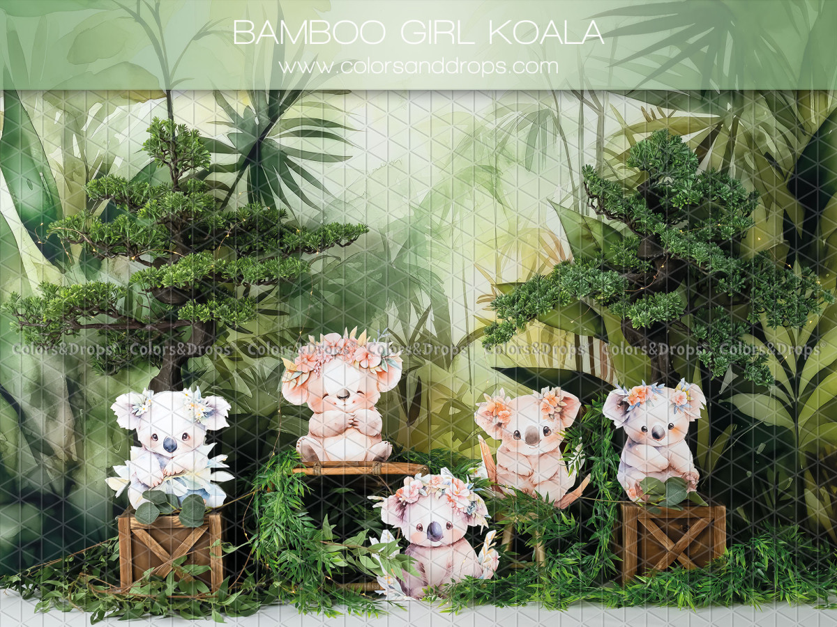Fondo fotográfico de bebé y smash cake Bamboo Girl Koala – koalas en un bosque de bambú | Colors&Drops