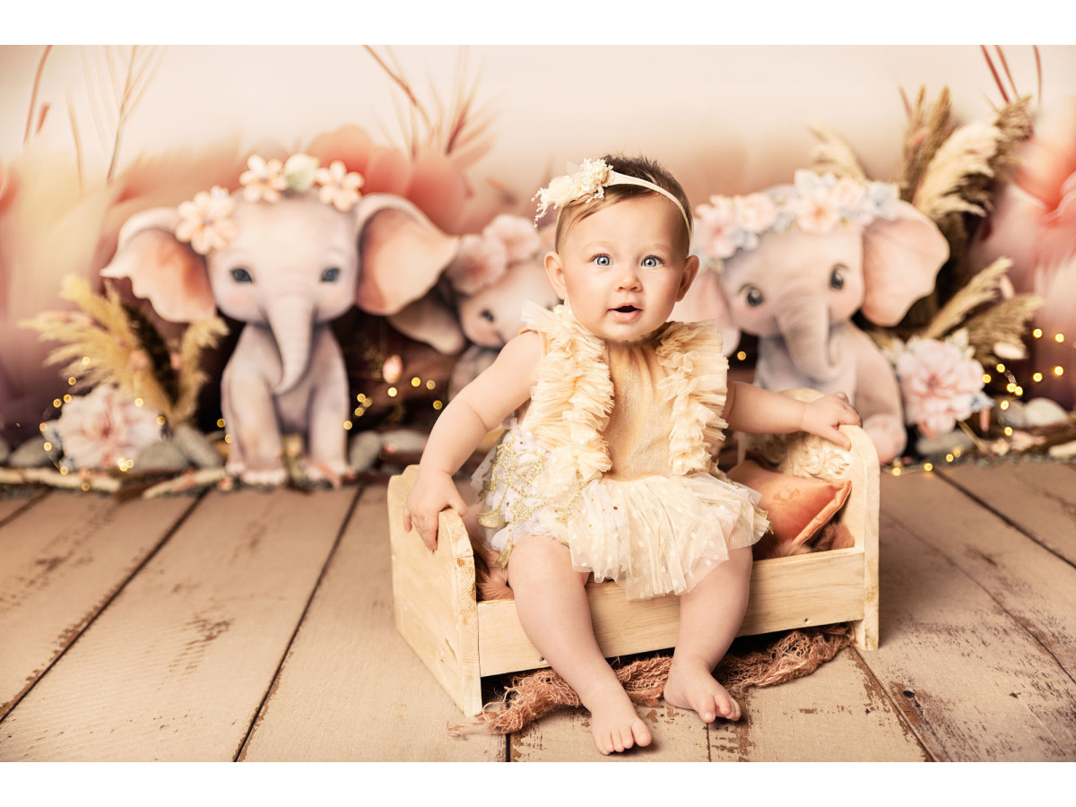 Baby & cake smash photo backdrop Girly Phan – pink baby elephants with flowers and pampas | Colors&Drops