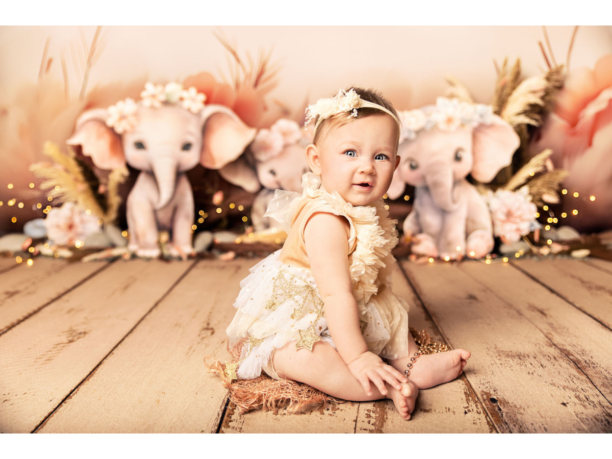 Baby & cake smash photo backdrop Girly Phan – pink baby elephants with flowers and pampas | Colors&Drops