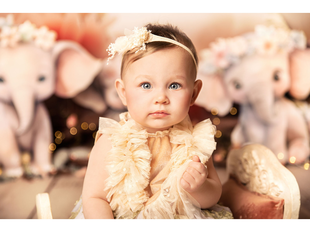 Baby & cake smash photo backdrop Girly Phan – pink baby elephants with flowers and pampas | Colors&Drops