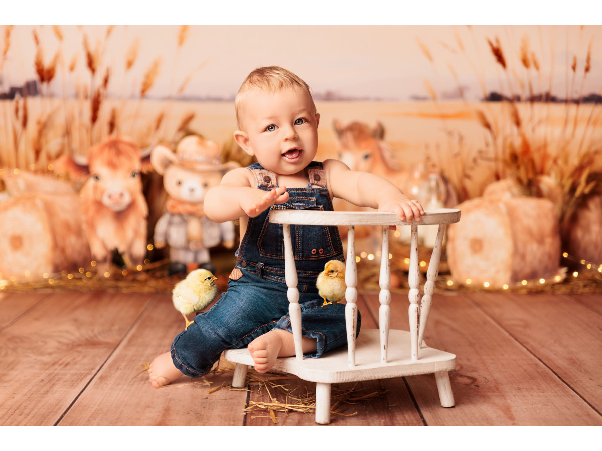 Fond photo bébé et smash cake Yiha – oursons cowboys dans un champ de blé | Colors&Drops