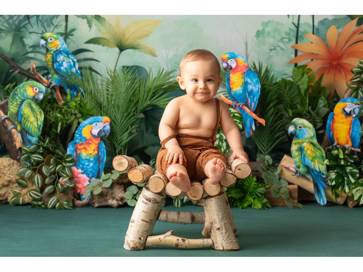 Fondo fotográfico de bebé y smash cake Aras Bleu – guacamayos azules y amarillos en la selva tropical | Colors&Drops