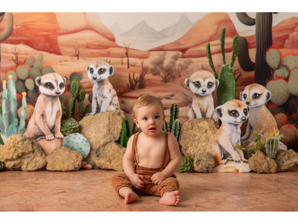 Fond photo bébé et smash cake Suricate – suricates dans le désert avec cactus | Colors&Drops