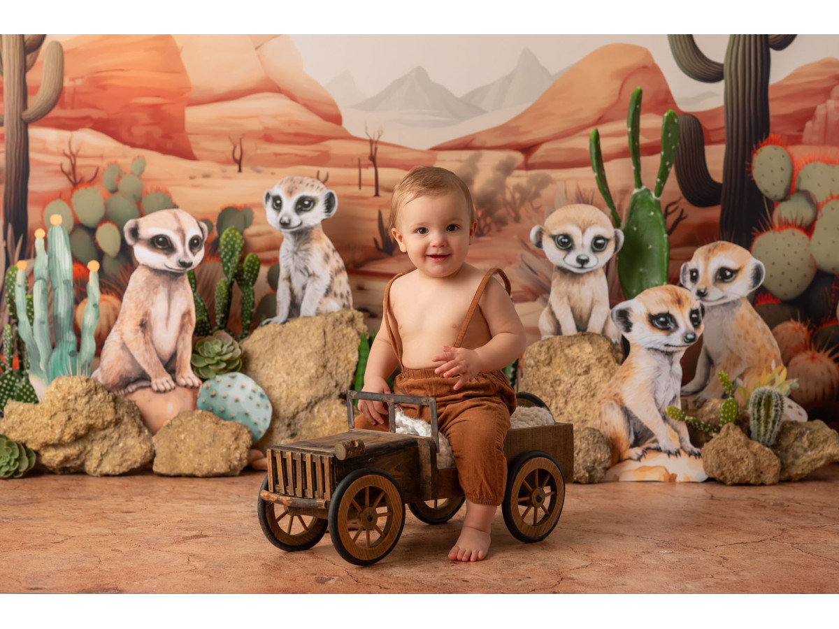 Fondo fotográfico de bebé y smash cake Suricate – suricatas en el desierto con cactus | Colors&Drops