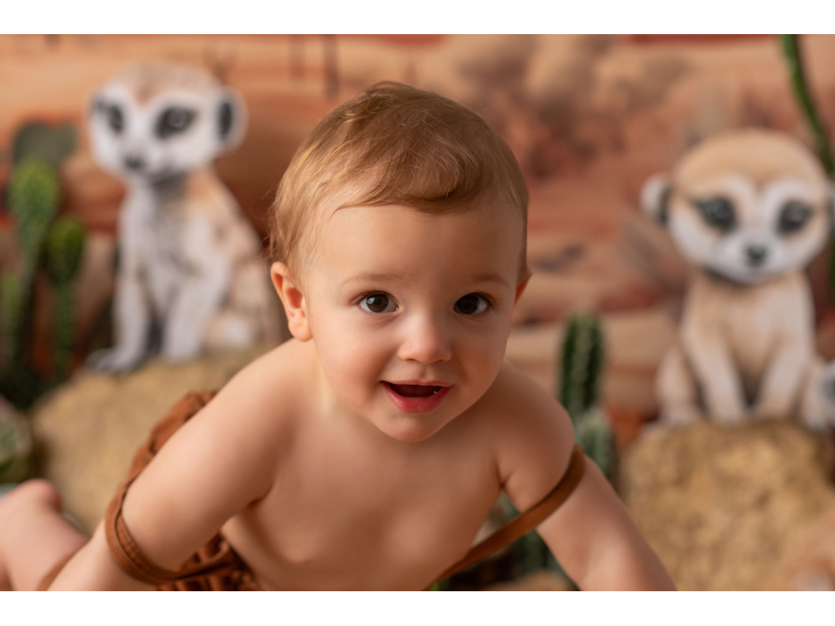 Fondo fotográfico de bebé y smash cake Suricate – suricatas en el desierto con cactus | Colors&Drops