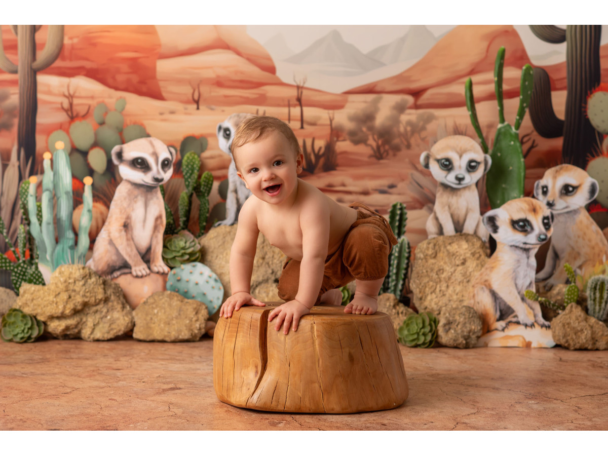 Fondo fotográfico de bebé y smash cake Suricate – suricatas en el desierto con cactus | Colors&Drops