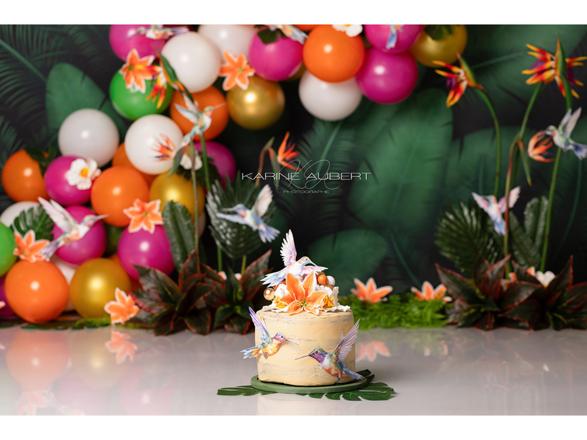 Fond photo bébé et smash cake Colibri – ballons multicolores dans la jungle avec colibris | Colors&Drops