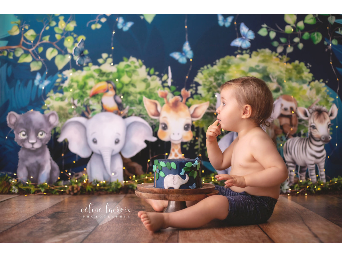 Fond photo bébé et smash cake In Jungle Night – animaux de la jungle la nuit avec papillons | Colors&Drops