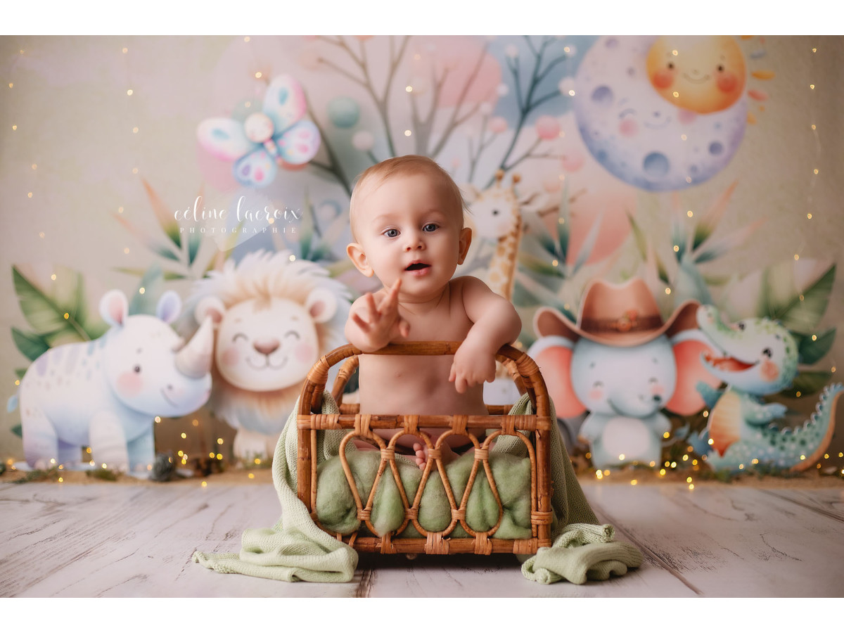 Fond photo bébé et smash cake Baby Safari – bébés animaux de safari avec voiture et soleil | Colors&Drops
