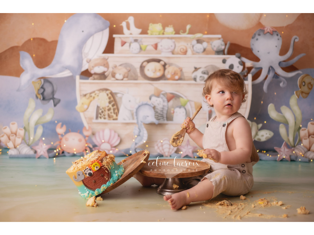 Fond photo bébé et smash cake L'Arche de Noe – arche de Noé avec animaux et baleine | Colors&Drops