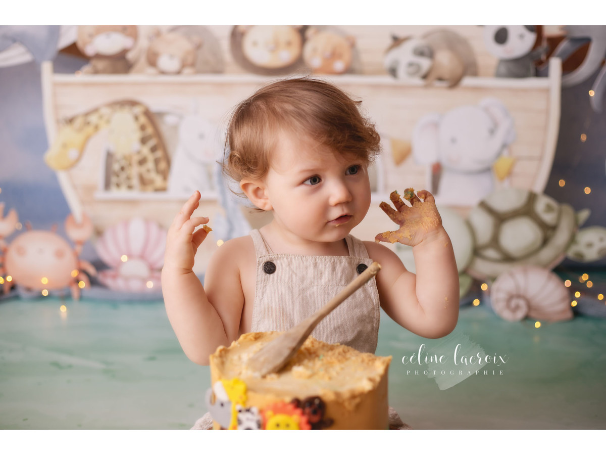 Baby & cake smash photo backdrop L'Arche de Noe – noah's ark with animals and whale | Colors&Drops