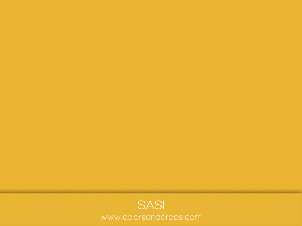 Plain mustard yellow photo backdrop Sasi – plain mustard yellow backdrop | Colors&Drops