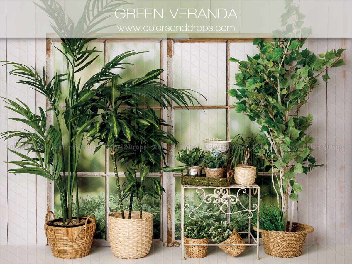 Fondo fotográfico de bebé y smash cake Green Veranda – veranda con palmeras en macetas y ventanas | Colors&Drops