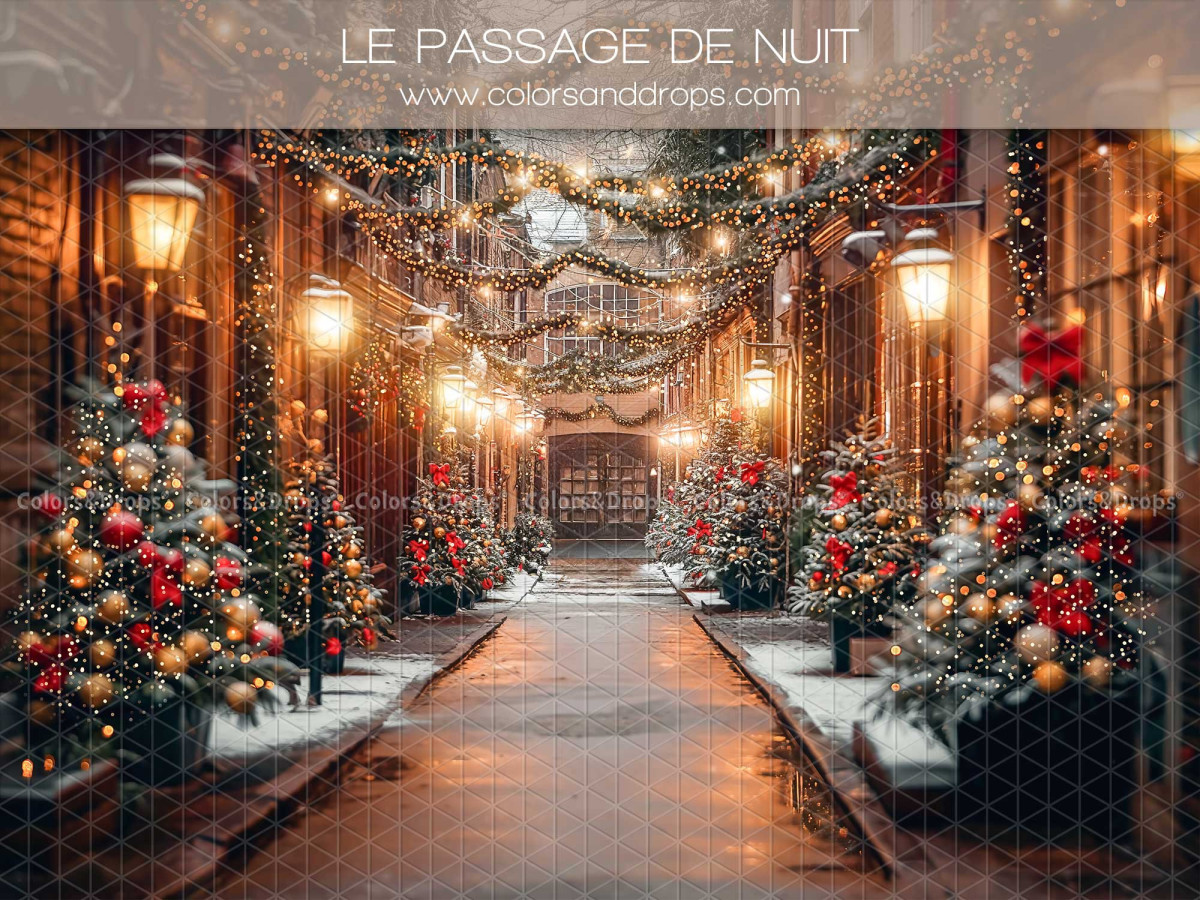 Fondo fotográfico de Navidad Le Passage de Nuit – callejón navideño iluminado de noche | Colors&Drops