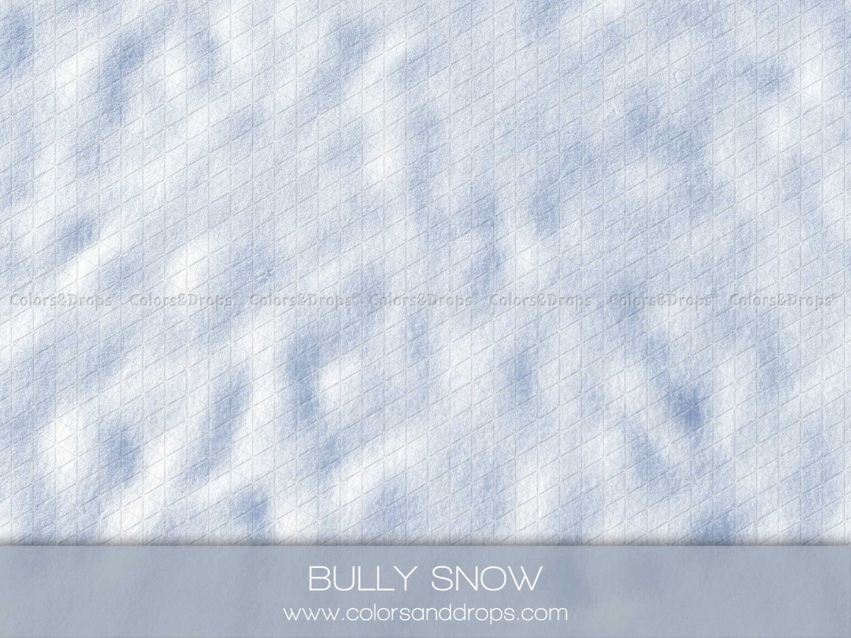 Christmas photo backdrop & floor Bully Snow – white snow texture | Colors&Drops