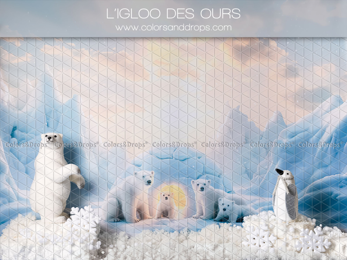 Fond photo de Noël L'Igloo des Ours – ours polaires et pingouin devant un igloo | Colors&Drops