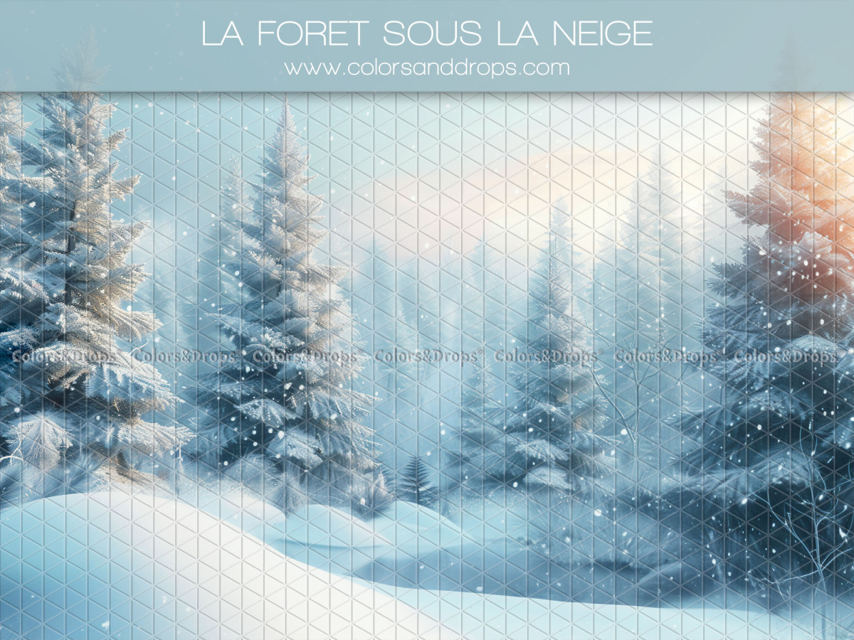 Fondo fotográfico de Navidad La Foret Sous la Neige – bosque de abetos bajo la nieve | Colors&Drops