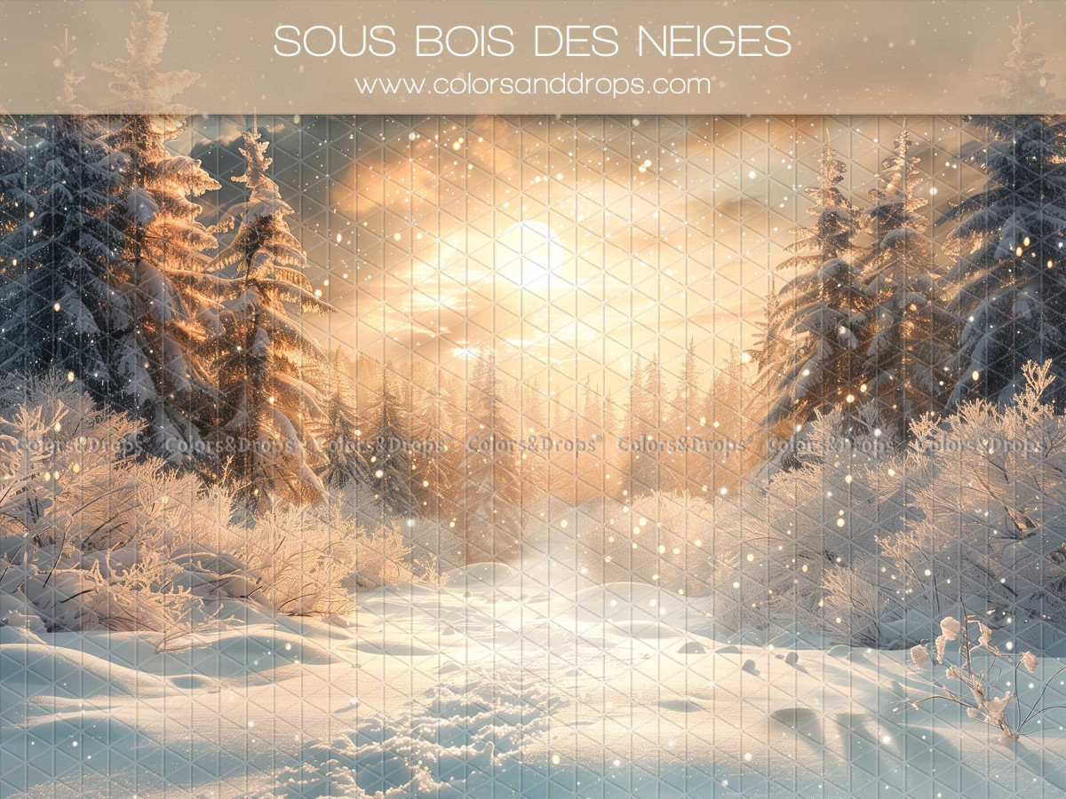 Fondo fotográfico de Navidad Sous Bois des Neiges – sotobosque nevado con abetos al atardecer | Colors&Drops