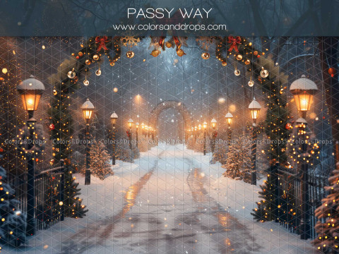 Fondo fotográfico de Navidad Passy Way – camino nevado con arco de guirnaldas y farolas | Colors&Drops