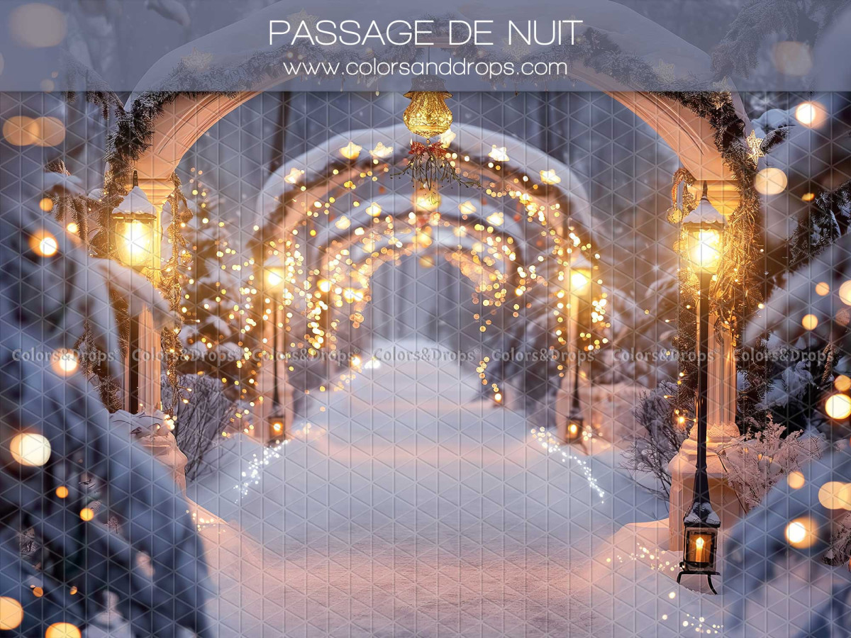Fondo fotográfico de Navidad Passage de Nuit – túnel de arcos iluminados en la nieve de noche | Colors&Drops
